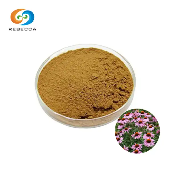Echinacea Purpurea Herb Extract For Skin Benefits